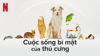 Cuộc sống bí mật của thú cưng